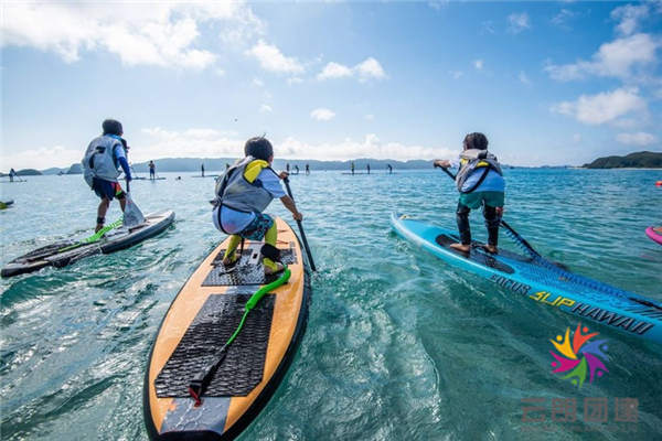 南京森林探險夏季特色團建活動