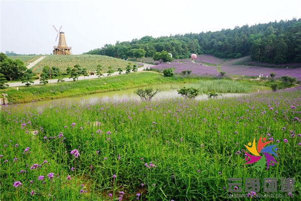 南京谷里大塘金拓展團建基地